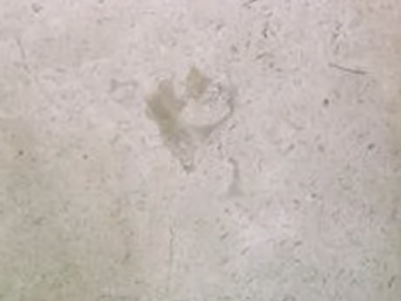 Mármol Cream Cordoba Mazatlán