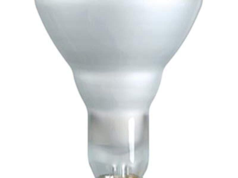 Incandescente Reflector BR30