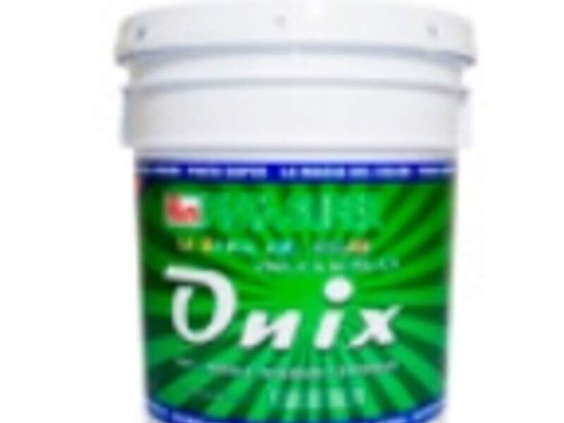 PINTURA VINÍLICA PS ONIX CUERNAVACA
