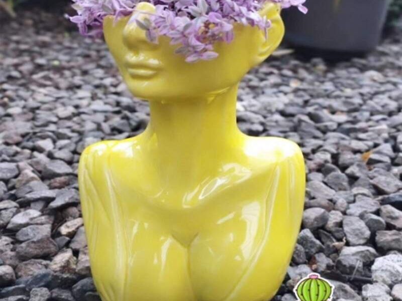 MACETA BUSTO MEXICO