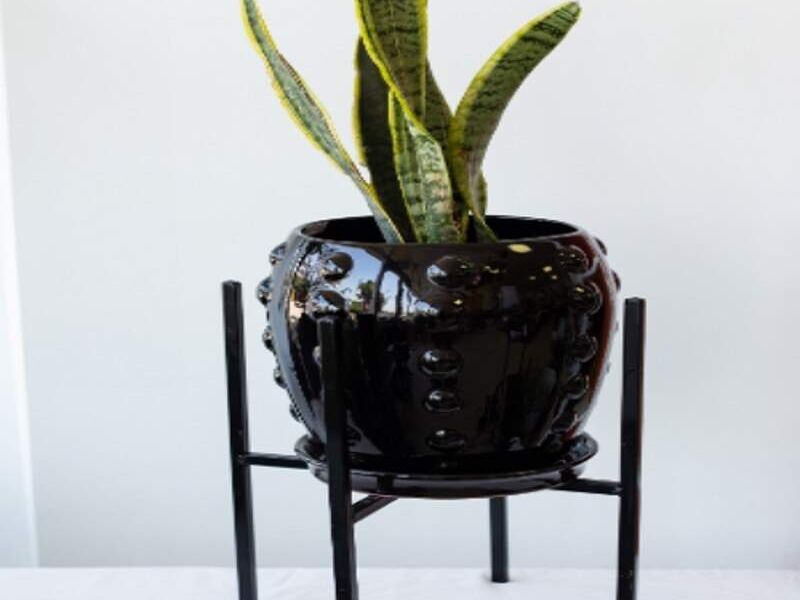 MACETA CACTUS MEXICO
