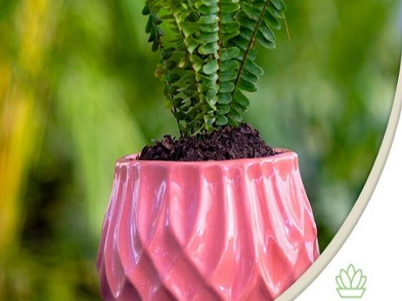 MACETA ESFERA TEXTURA ROSA MEXICO