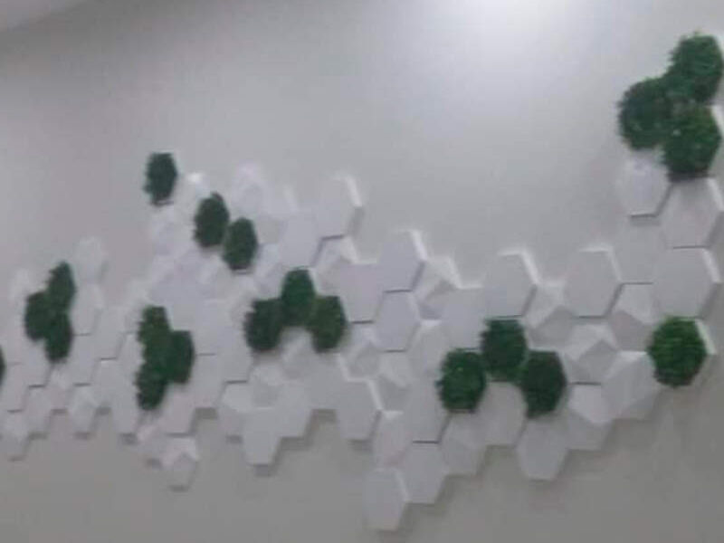 MOLDURAS DECORATIVAS TEPIC