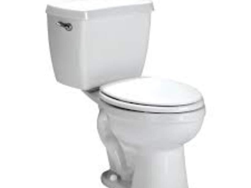 Sanitario México