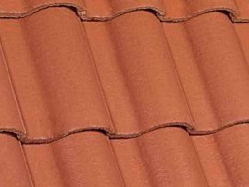 Teja Mediterránea México