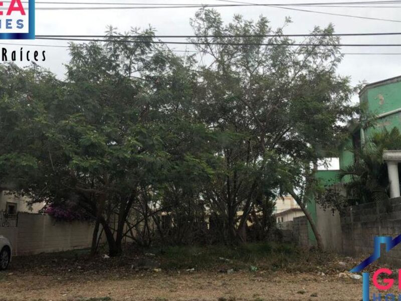 TERRENO  VENTA  Luna Madero