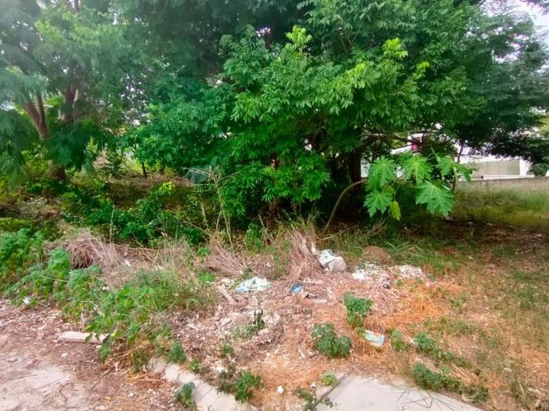 Terreno venta  Ojital Madero 