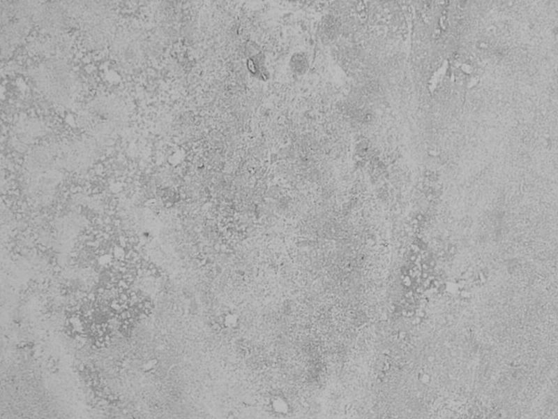 Porcelana mate ANTHOLOGY GREY Jal. MX