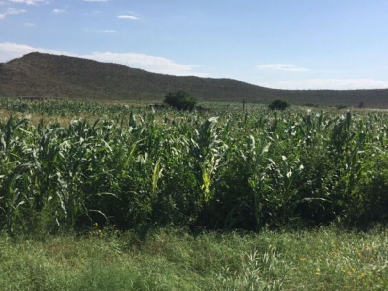 Venta rancho Coahuila