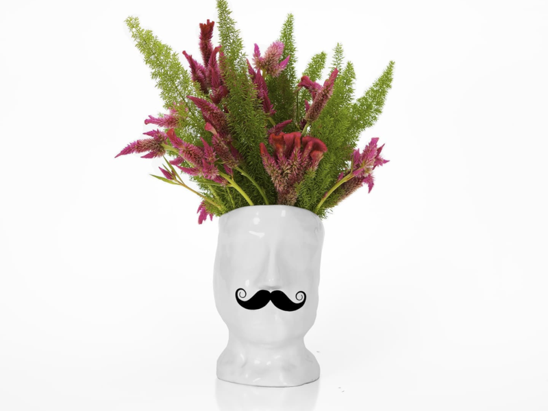 Maceta Bigote México