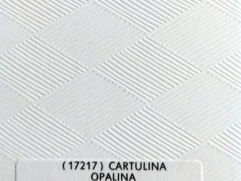 Papel Cartulina 2/C Opalina México