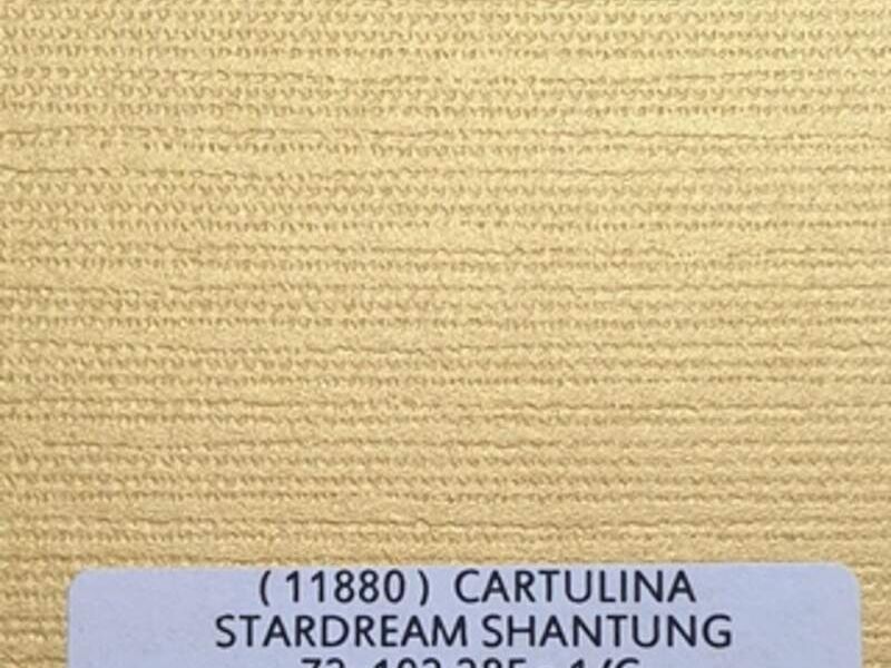 Papel Cartulina 1/C Stardream México