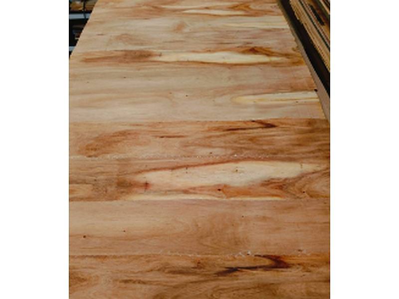 Chapa de Madera Natural Tzalam México