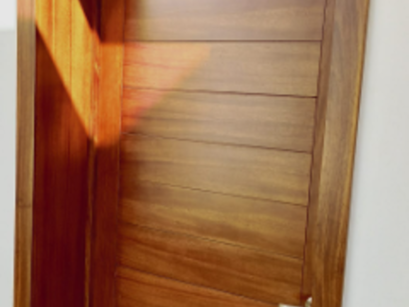 Puerta Exterior Leon 