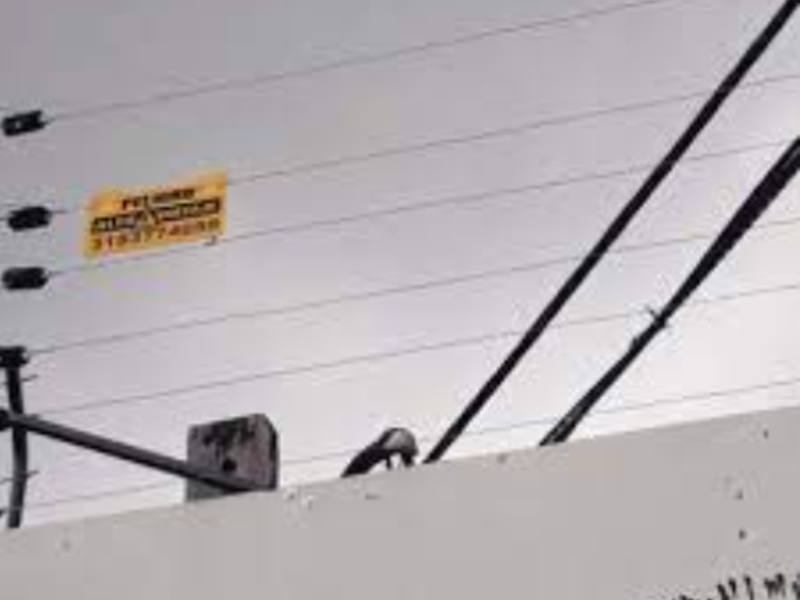 Cerco eléctrico alambre aluminio C.Juarez