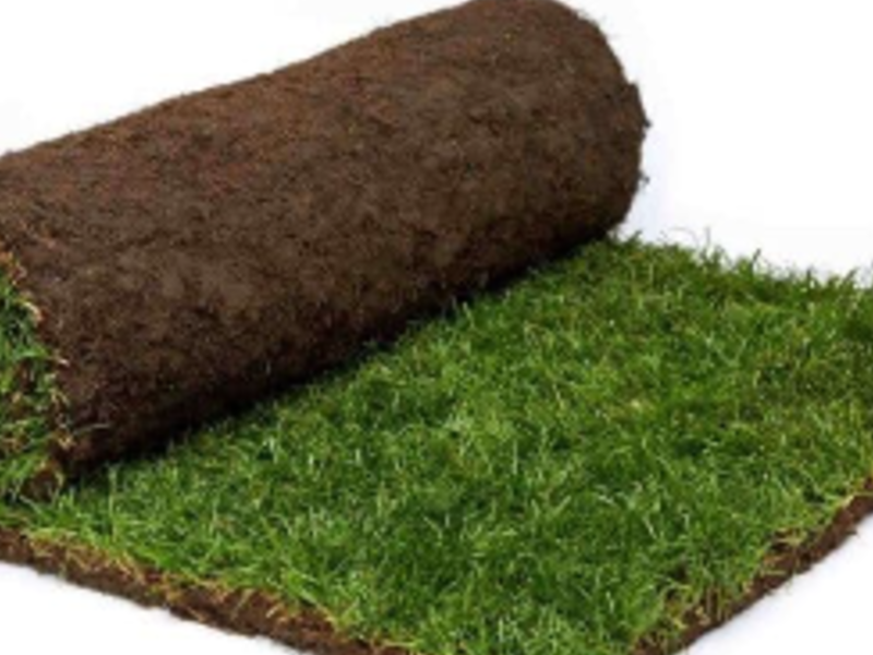 Pasto Rollo Kicuyo Puebla