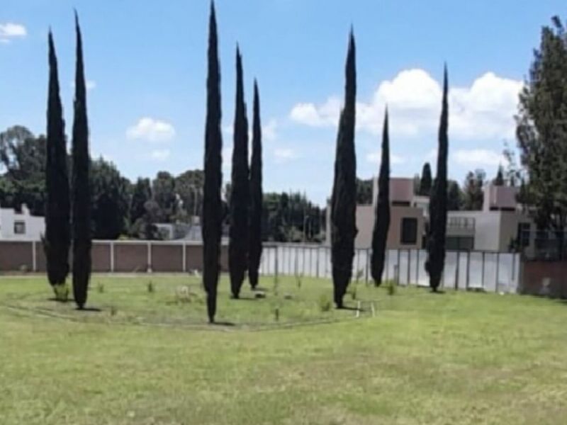 Terreno venta en Actipan