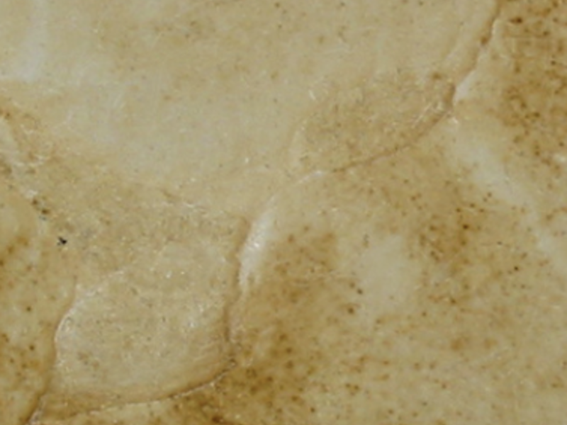 Marmol Dorado Tepexi Puebla