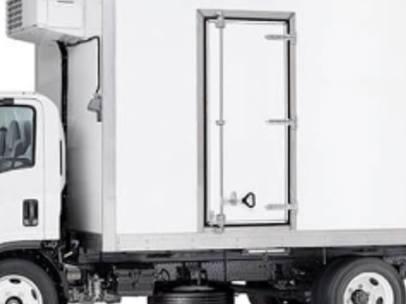 Camion Caja Refrigerada Tuxtlan