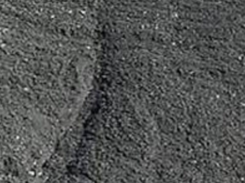 Polvillo Estándar Monclova