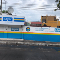 Pinturas Sayer Tepic