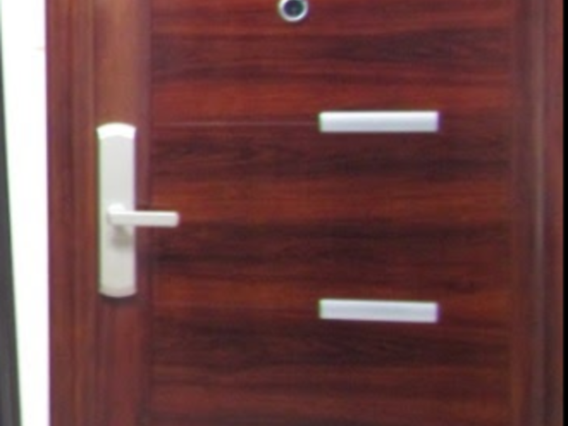 Puerta seguridad alemania Monterrey