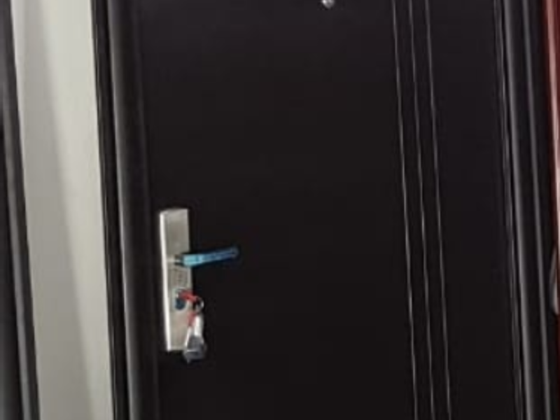 Puerta seguridad alemania negra Monterrey