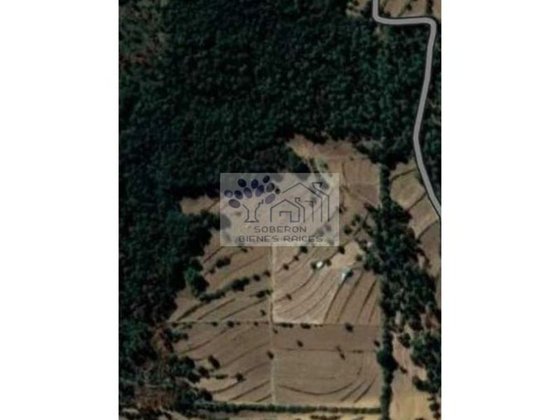 Venta terreno Nanacamilpa Tlaxcala