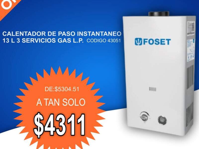 Calentador Instantaneo 13L  Mexico