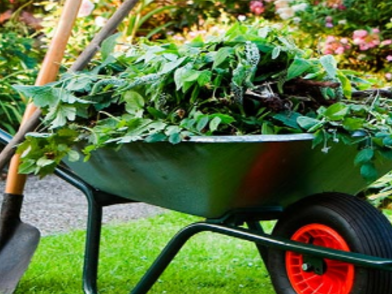 Mantenimiento Jardines 