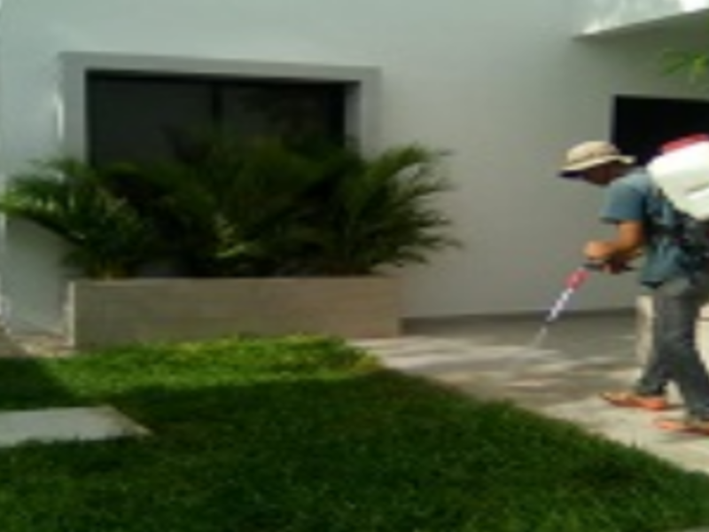 Fumigación Jardines México