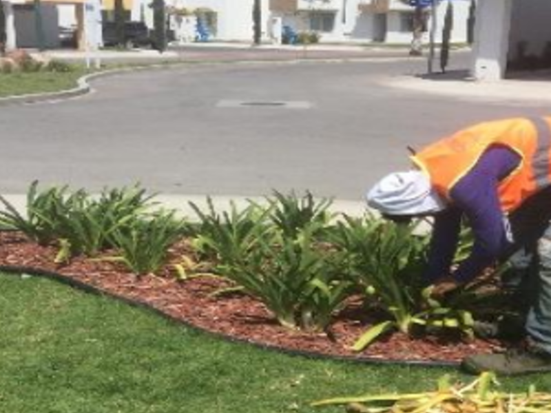 Construcción Jardines México
