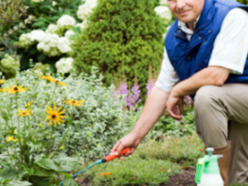 Fertilización Jardín México