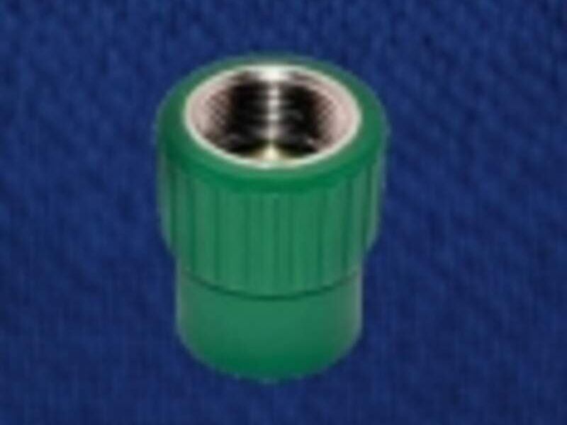 Conector Hembra México 