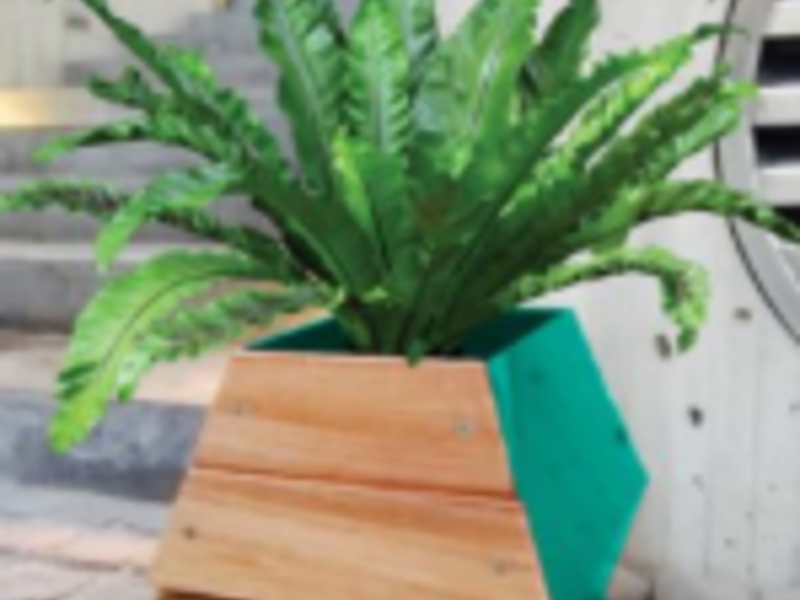 Maceta de madera Malmo Zapopan Jalisco