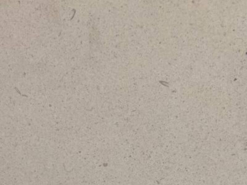 Mármol Limestone Crema Zapopan
