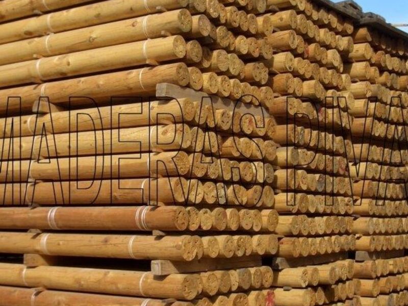 Morillos Cortos