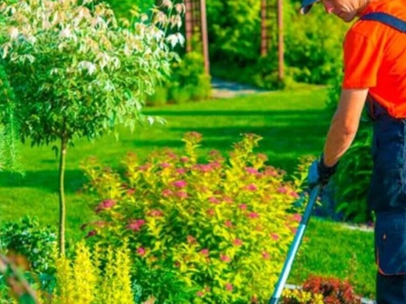 Servicio jardinería México