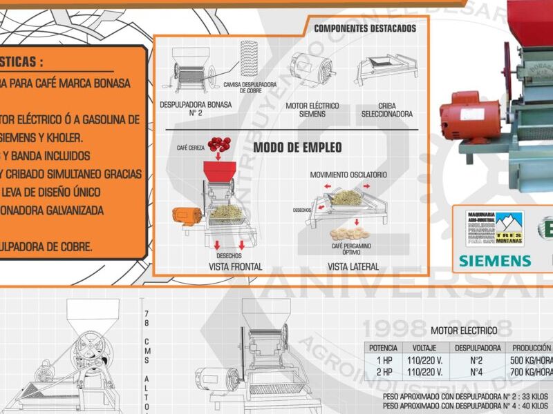 Motor eléctrico en Oaxaca