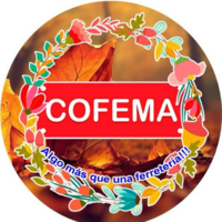 Cofema San Quintín