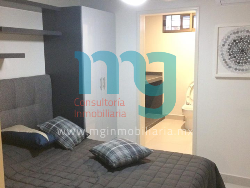 Renta departamento Lopez Porillo