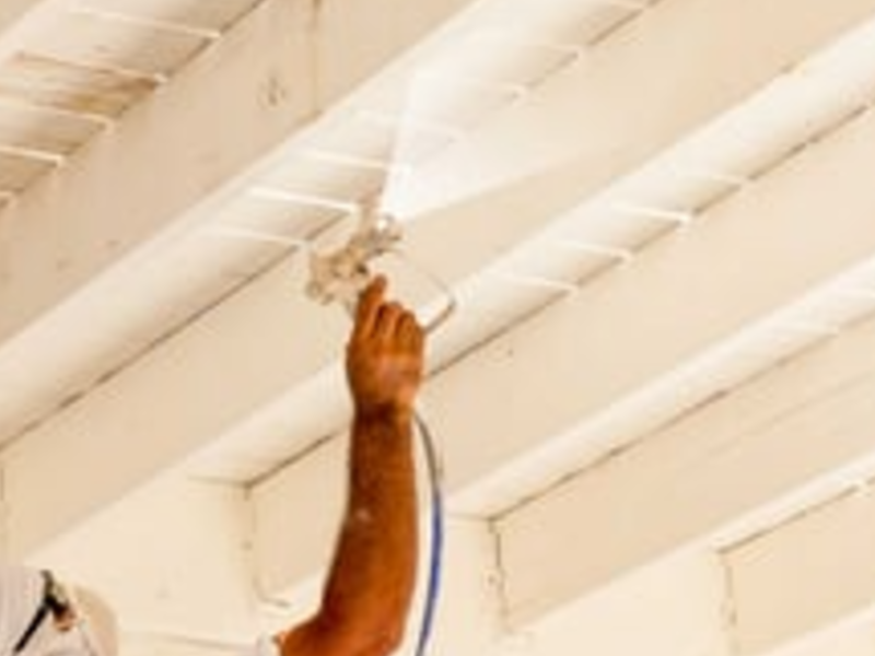 Servicio pintura Zapopan