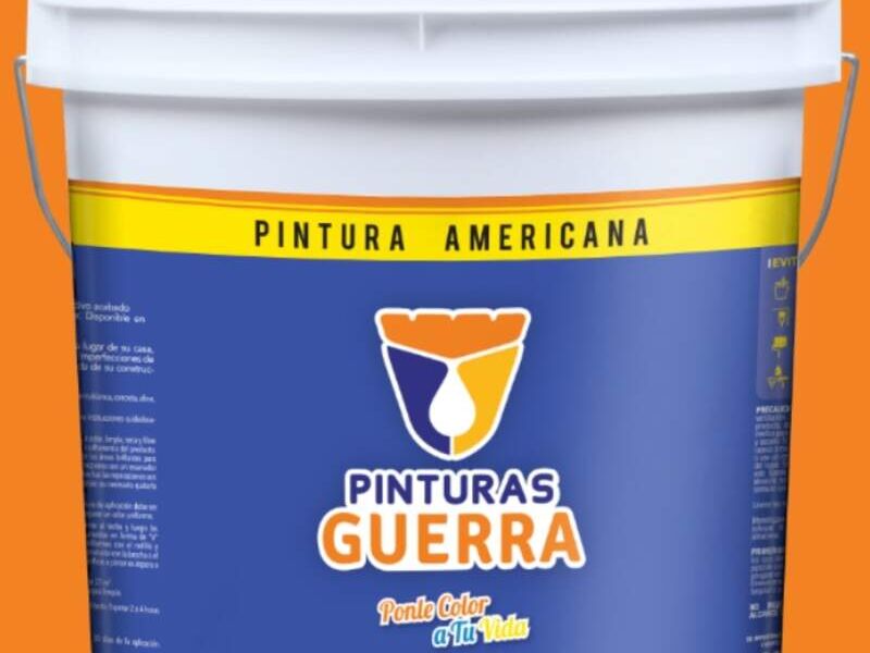  Pintura Igualación México