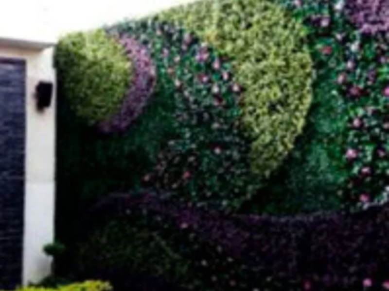 Muro Verde CDMX