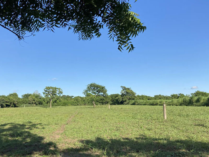 Terreno venta   japama  Veracruz