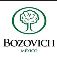Bozovich