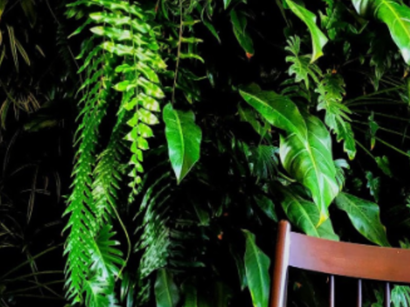 Pared Verde Geotextil Jalisco