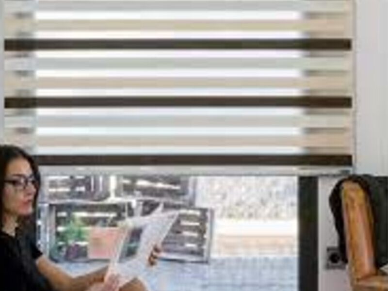 Cortinas Zebra Mexico