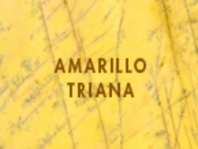 Amarillo Triana Puebla
