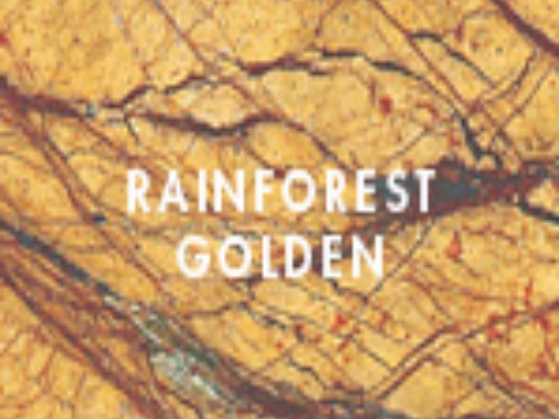Rainforest Puebla